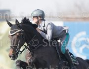 Capponi Royal Star TosTour 2013- S5 3438 : Arezzo Equestrian Centre, Capponi Francesca, Royal Star, Toscana Tour 2013, foto di Stefano Secchi ©